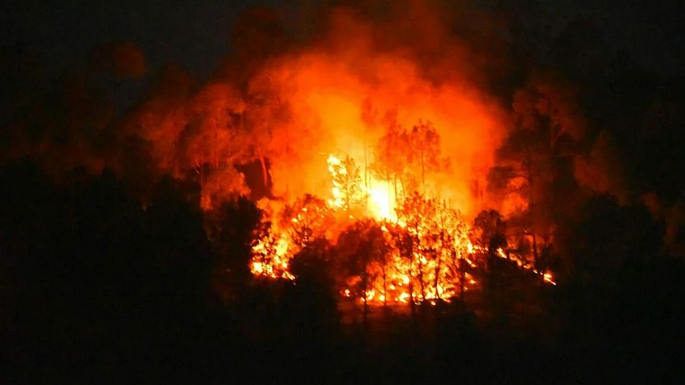 फोटोः सोशल मीडिया