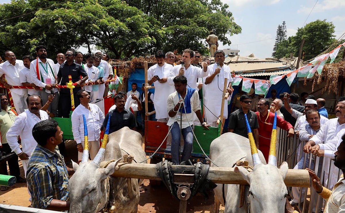 कर्नाटक चुनाव के रंग तस्वीरों में:  कभी साइकिल, तो कभी बैलगाड़ी, और कभी गैस सिलेंडर उठाए दिखे कांग्रेस अध्यक्ष