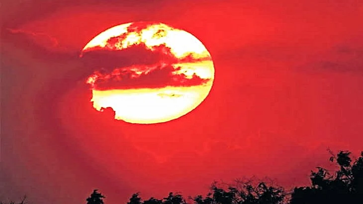 फोटो : सोशल मीडिया