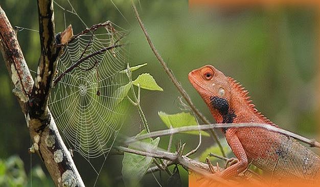 यूं ही नहीं निकला जिन्ना की तस्वीर का जिन्न, ये हिंदुत्ववादी राजनीति का माहौल तैयार करने की विधियां हैं