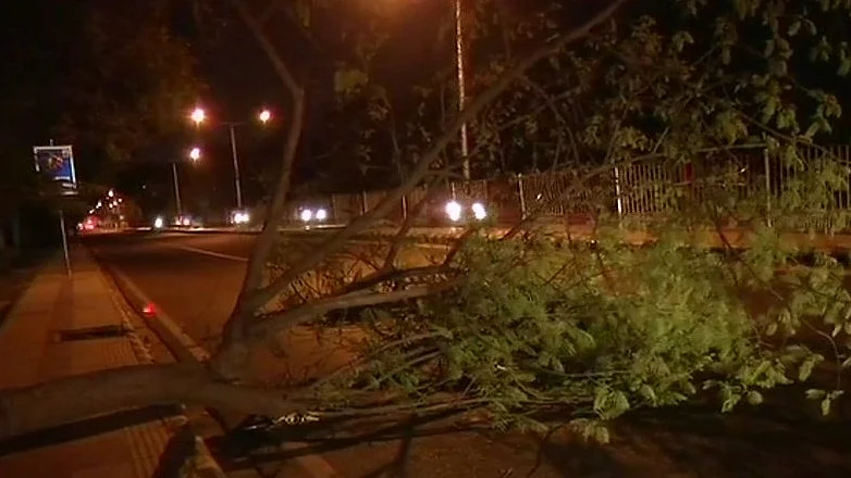 फोटो: सोशल मीडिया&nbsp;