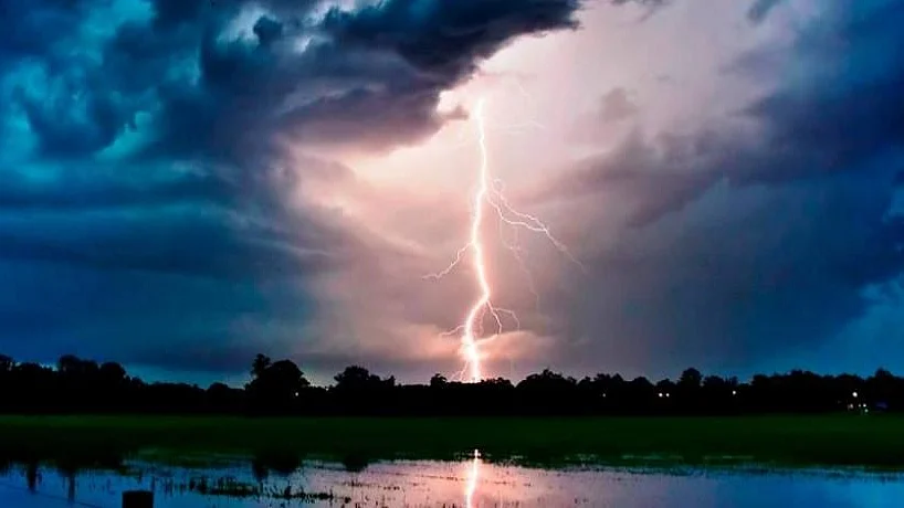 फोटो: सोशल मीडिया&nbsp;