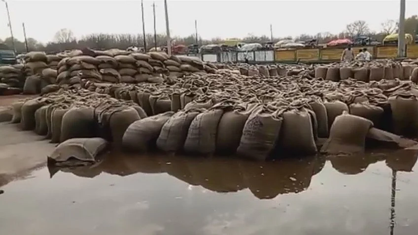 फोटो: सोशल मीडिया&nbsp;