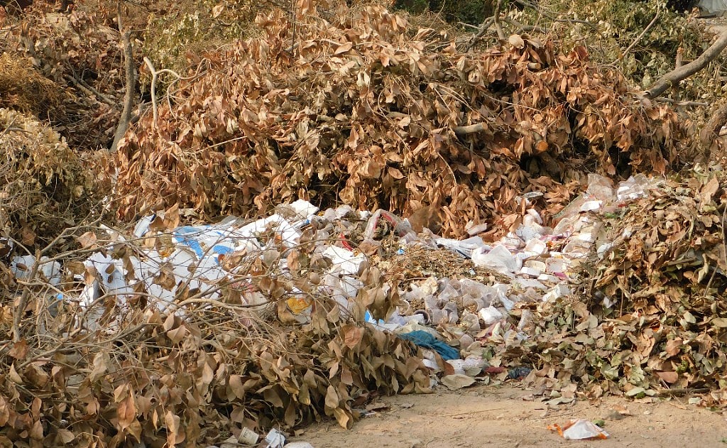 पर्यावरण का विनाश करता पर्यावरण दिवस का जश्न