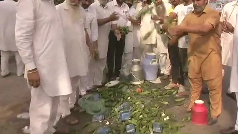 फोटो: सोशल मीडिया&nbsp;