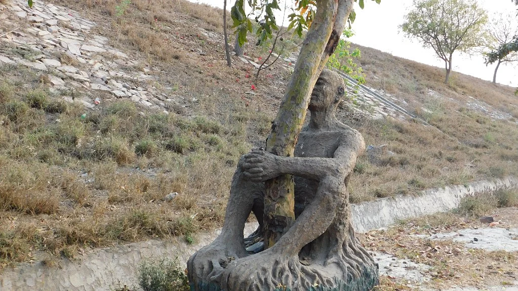 फोटो: सोशल मीडिया&nbsp;