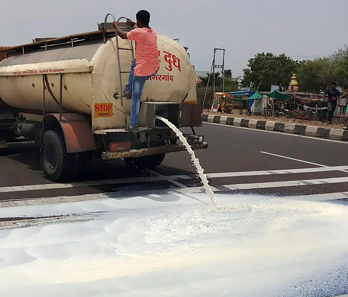 खेतों में टहलता पांडा और सड़कों पर बहता दूध