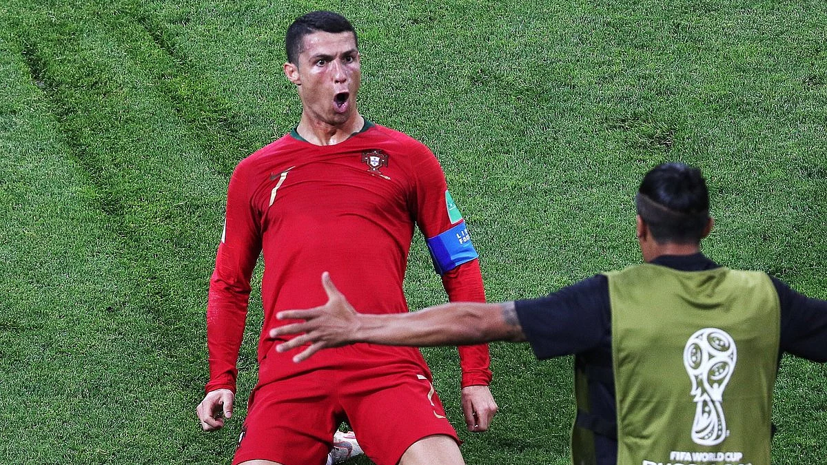 फोटो: Twitter<a href="https://twitter.com/liannesanderson">@<b>liannesanderson</b></a>