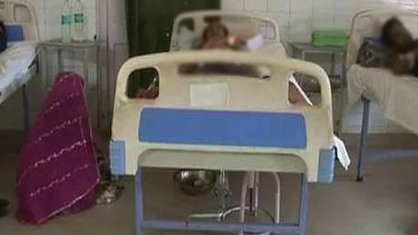 फोटो: सोशल मीडिया&nbsp;