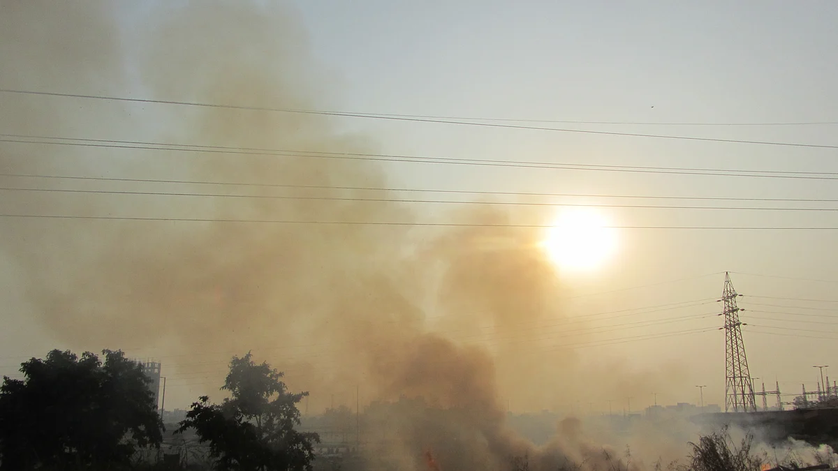 फोटो : महेंद्र पांडे