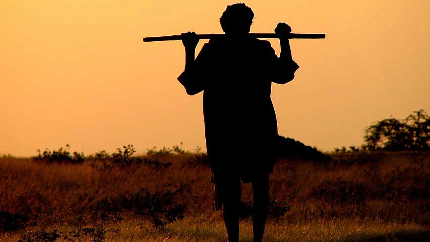 फोटो: सोशल मीडिया