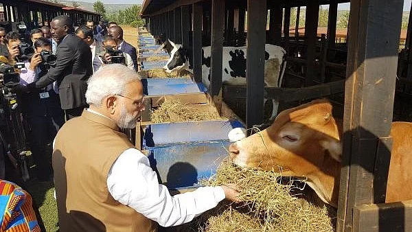 फोटो: सोशल मीडिया 