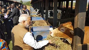 विष्णु नागर का व्यंग्य: रवांडा में 200 गायें दान कर मोदी जी ने भारत के कई मुसलमानों को बचा लिया!