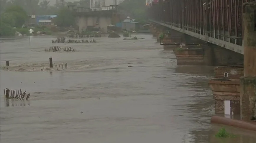 फोटो: सोशल मीडिया&nbsp;