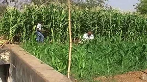 फोटोः सोशल मीडिया