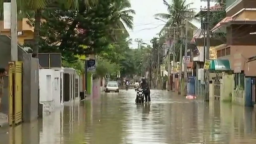 फोटो: सोशल मीडिया&nbsp;