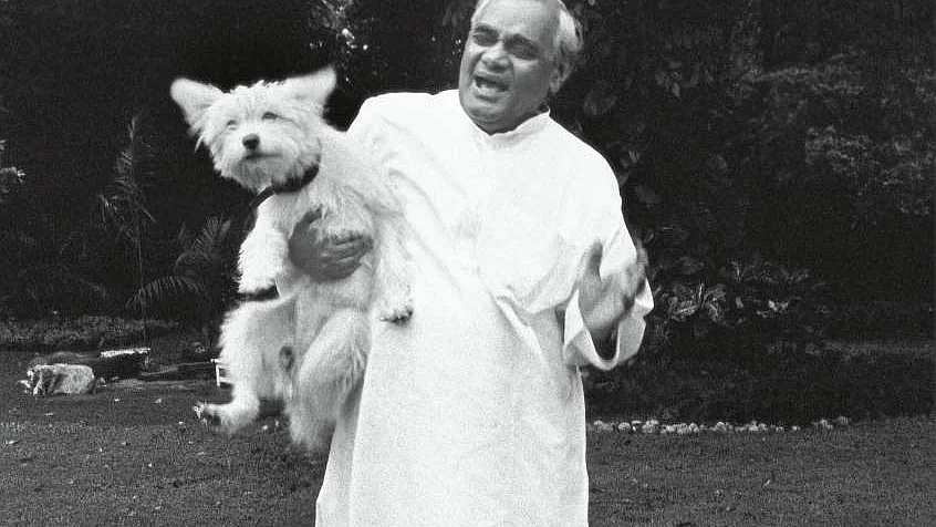 सभी तस्वीरें सोशल मीडिया से ली गई हैं