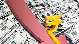 फोटो : सोशल मीडिया