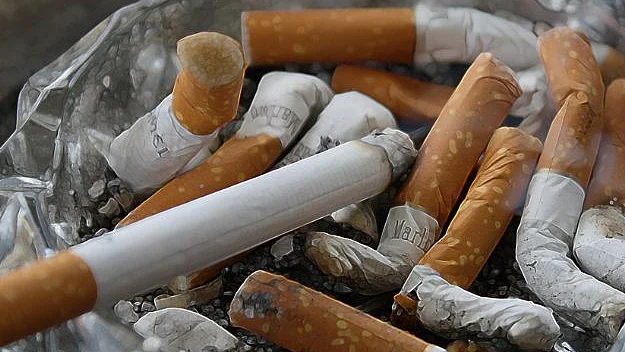 फोटो: सोशल मीडिया&nbsp;