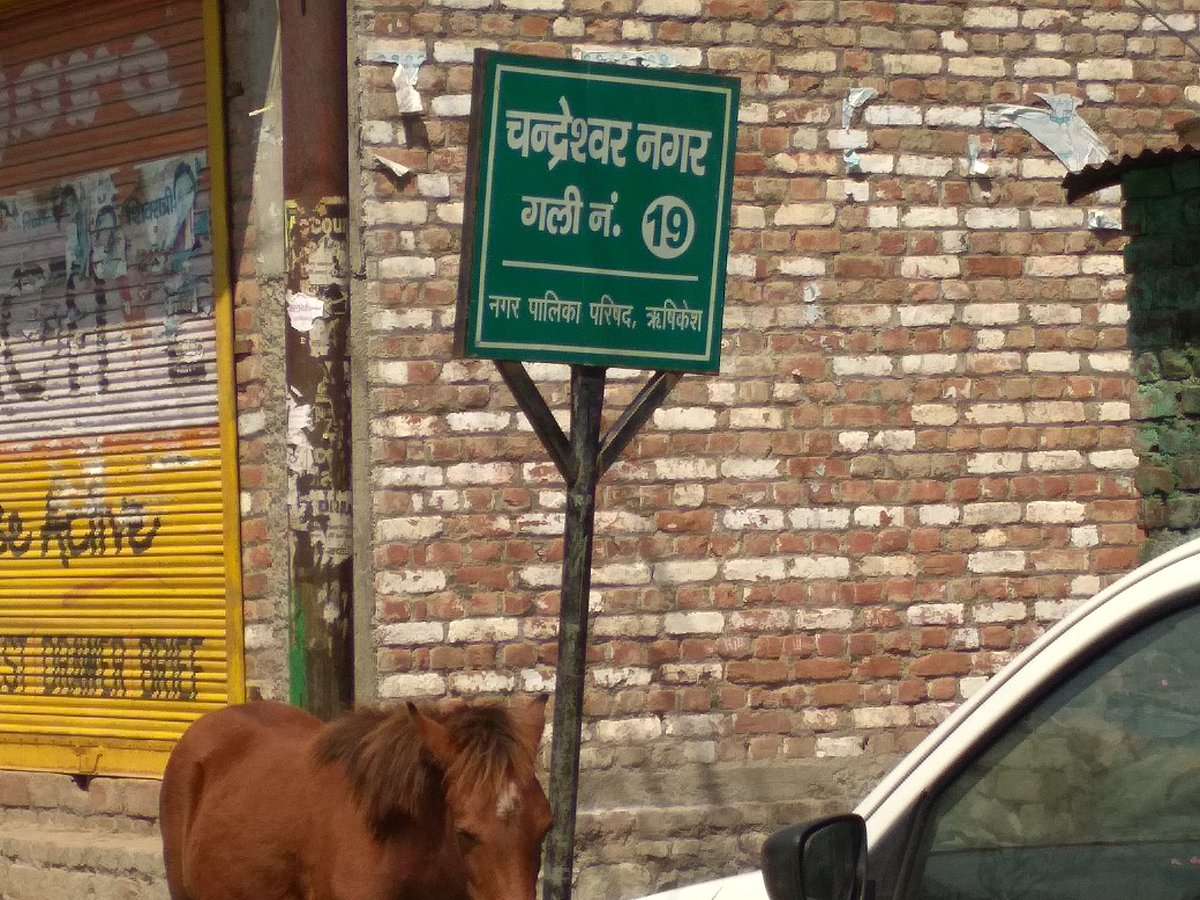 फोटो: वर्षा सिंह