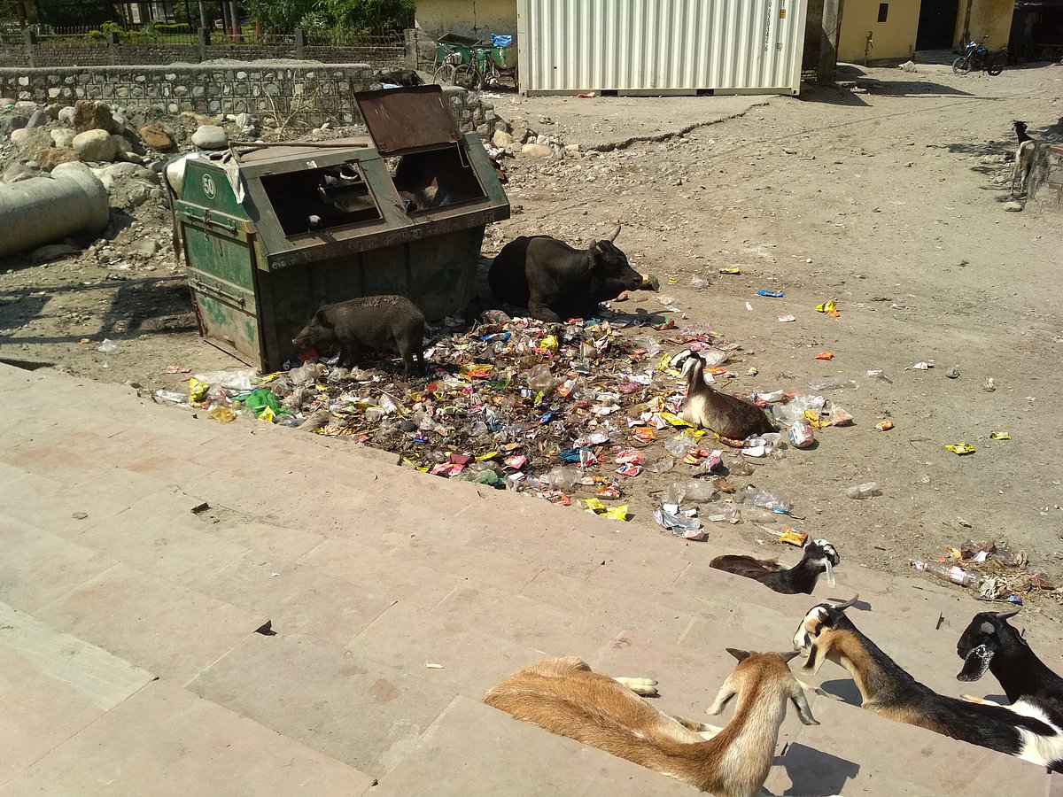 फोटो: वर्षा सिंह