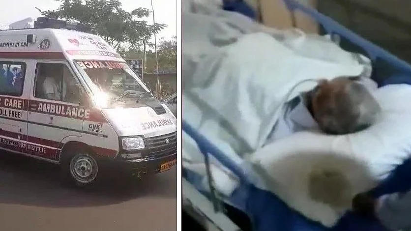 फोटो: सोशल मीडिया