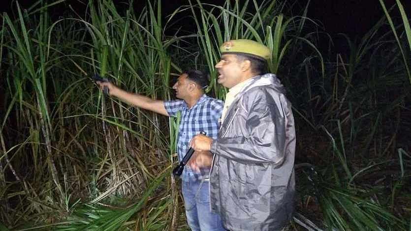 फोटो: सोशल मीडिया&nbsp;