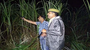 यूपी: एनकाउंटर के दौरान मुंह से ‘ठांय-ठांय’ की आवाज निकालने वाले दारोगा को योगी सरकार की पुलिस करेगी सम्मानित