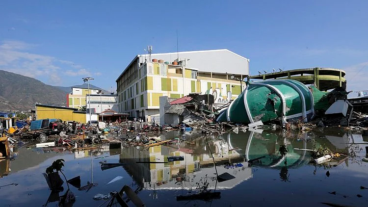 फोटो: सोशल मीडिया&nbsp;