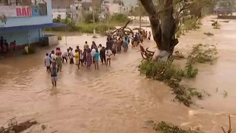 फोटो: सोशल मीडिया