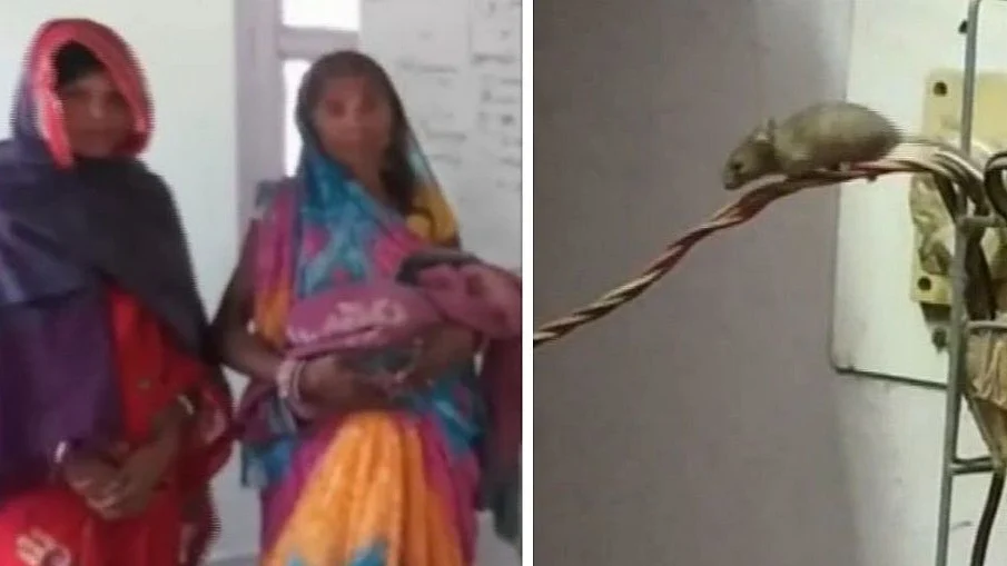 फोटो: सोशल मीडिया