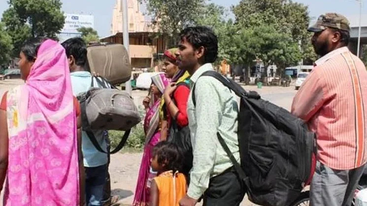 फोटो : सोशल मीडिया