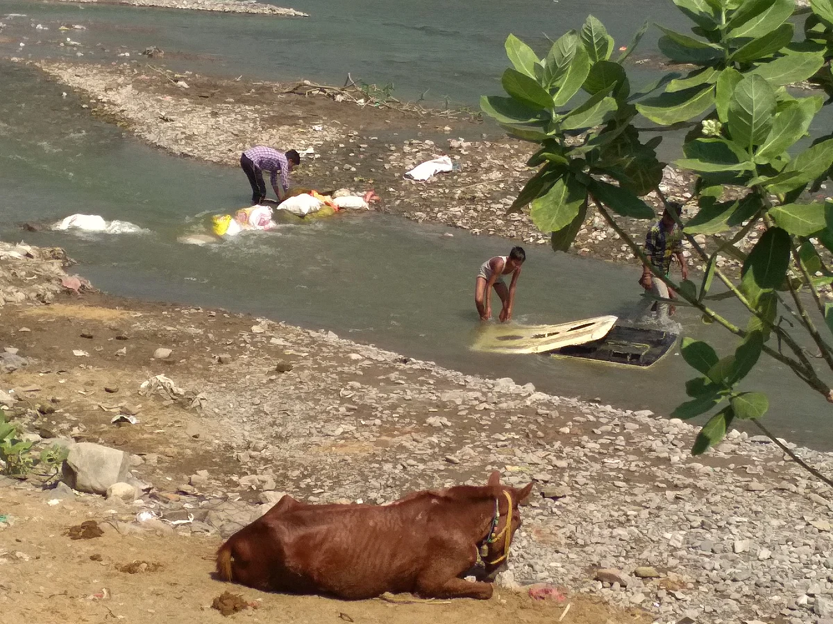 उत्तराखंड के खुले में शौच मुक्त होने का दावा झूठा, तीर्थनगरी ऋषिकेश दे रही इसकी गवाही, कैग ने भी उठाए थे सवाल