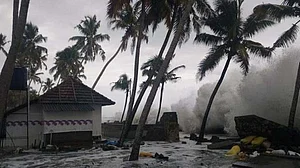 फोटो: सोशल मीडिया 