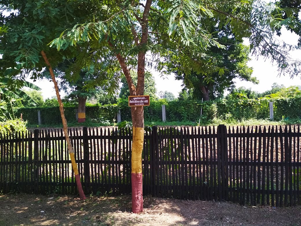 फोटो: विश्वदीपक