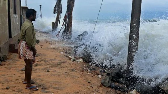 फोटो: सोशल मीडिया&nbsp;