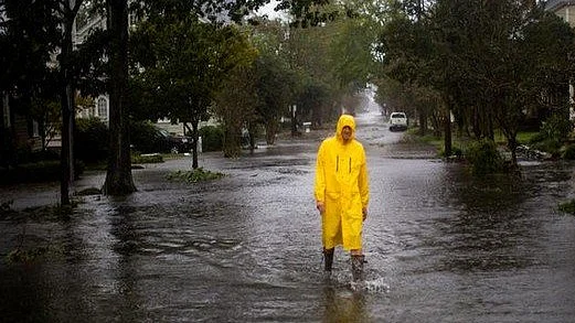 फोटो: सोशल मीडिया&nbsp;