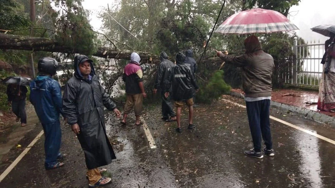 फोटो: सोशल मीडिया 