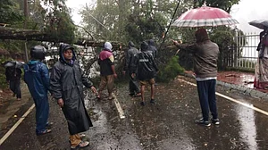 वीडियो: तमिलनाडु में ‘गाजा’ तूफान ने मचाई भारी तबाही, टूटे कई मकान और पेड़ गिरे