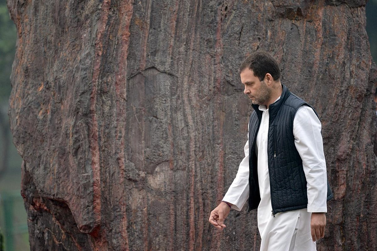 फोटो: विश्वदीपक&nbsp;