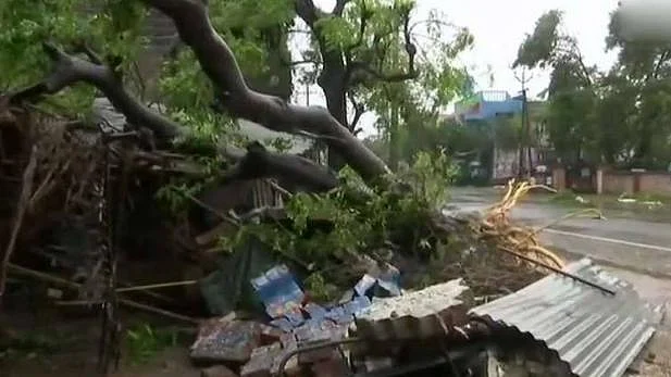 फोटो: सोशल मीडिया