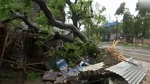 तमिलनाडु में ‘गाजा’ तूफान से भारी तबाही, 11 लोगों की मौत, 81 हजार से ज्यादा लोग राहत शिविर में भेजे गए