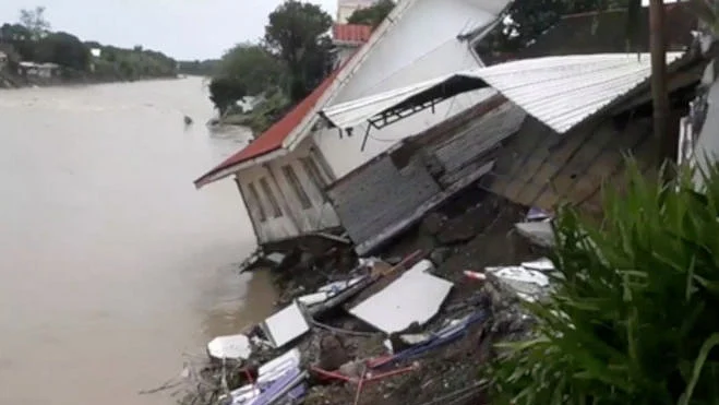 फोटो: सोशल मीडिया&nbsp;