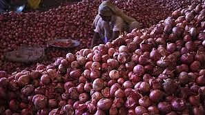 फोटो:सोशल मीडिया 