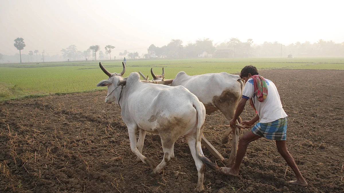 फोटो: सोशल मीडिया