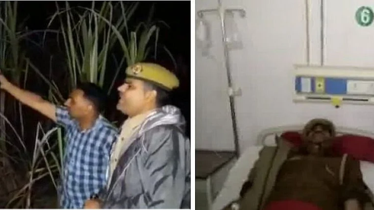 फोटो: सोशल मीडिया
