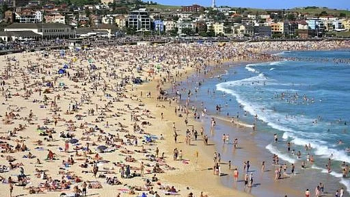 फोटो: सोशल मी़डिया&nbsp;