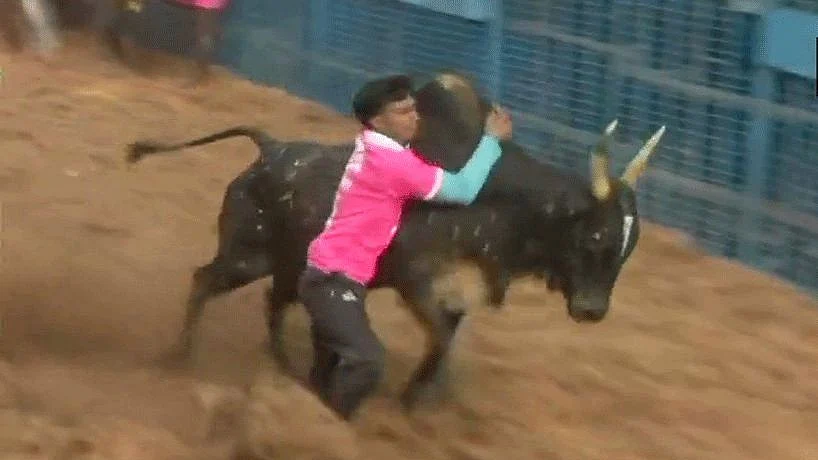 फोटो: सोशल मीडिया&nbsp;