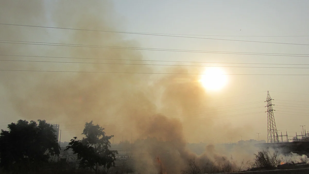 फोटोः सोशल मीडिया