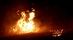 फोटो : सोशल मीडिया